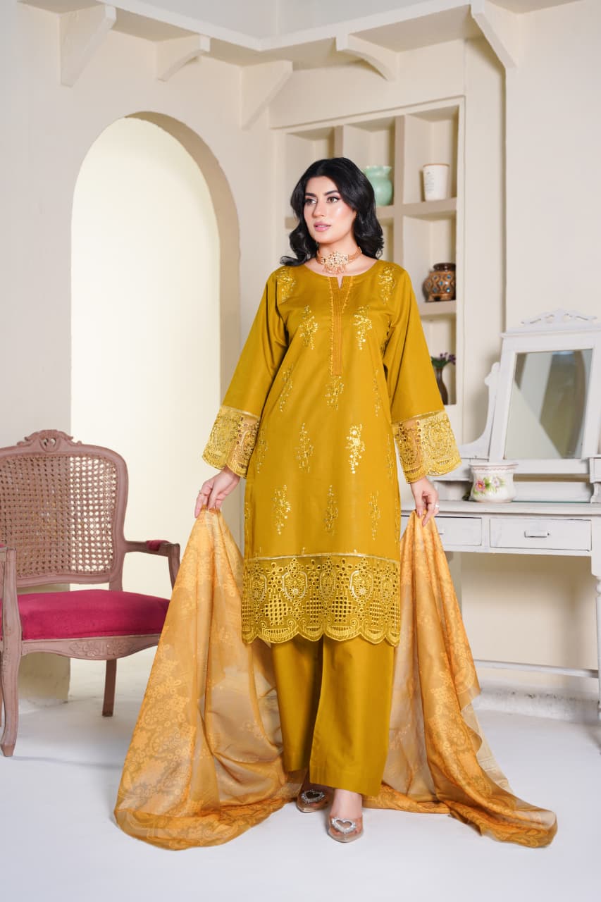 Premium Stitched 3-piece Khaddar Suit | D-2